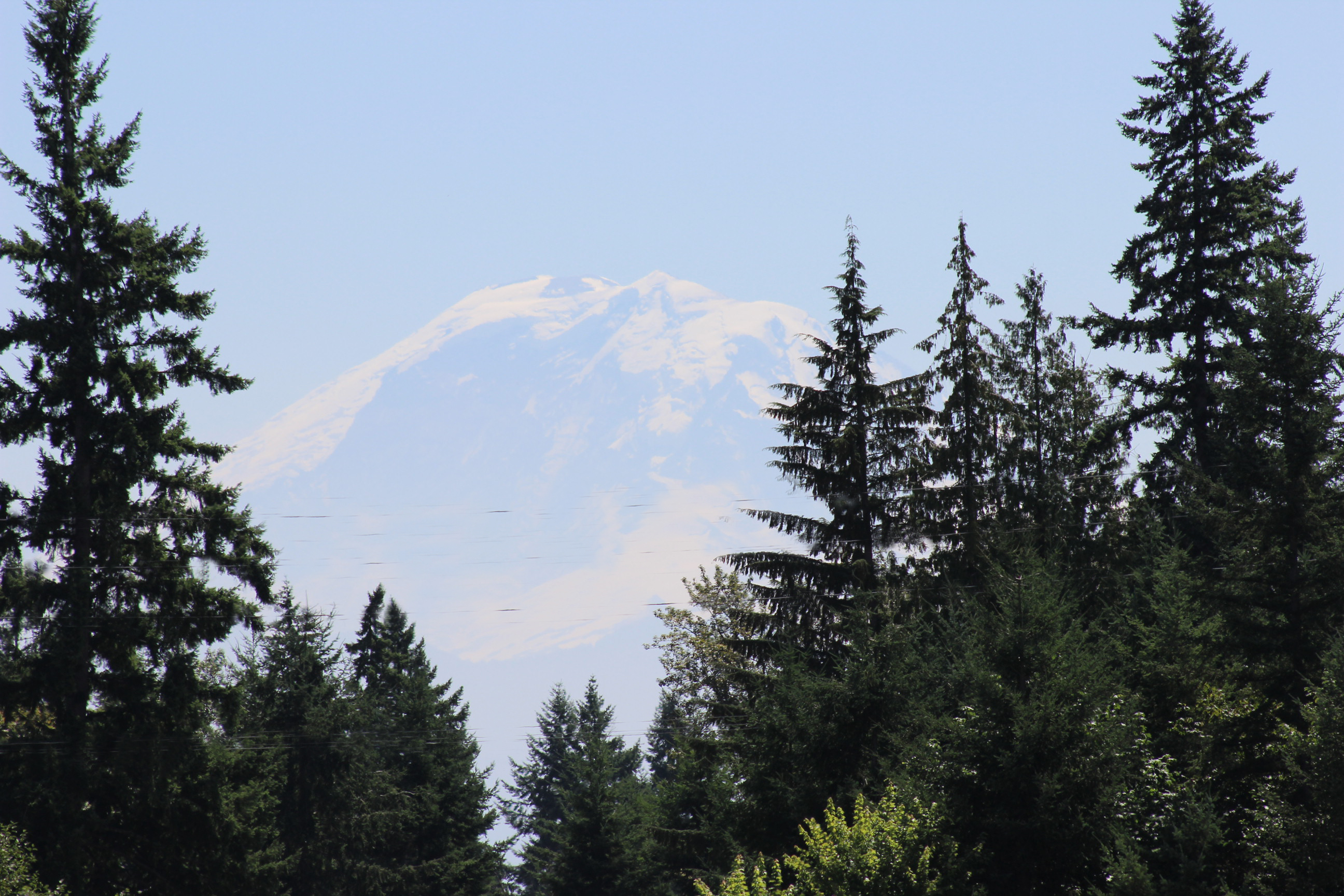 View of Mt Rainier, seattle funeral