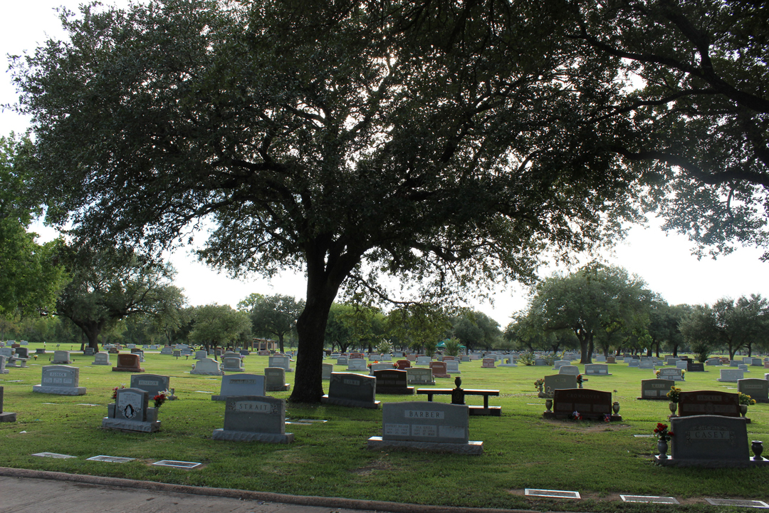 seattle cemetery